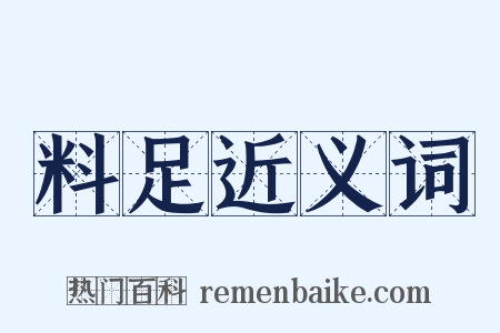 料足近义词是什么意思的图片